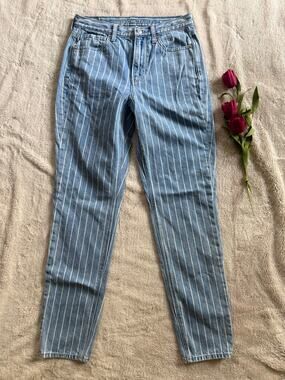 American Eagle Mom Jeans Striped Denim Size 2 Long